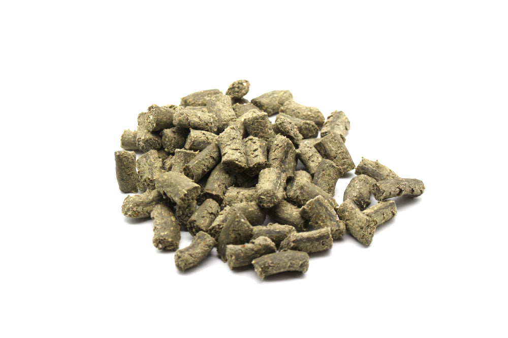 Trainingssnack Spirulina 100g