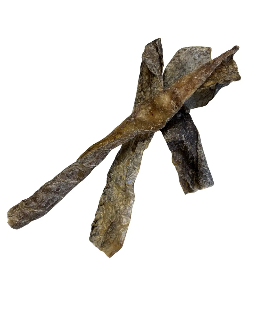 Straußenhaut in Streifen