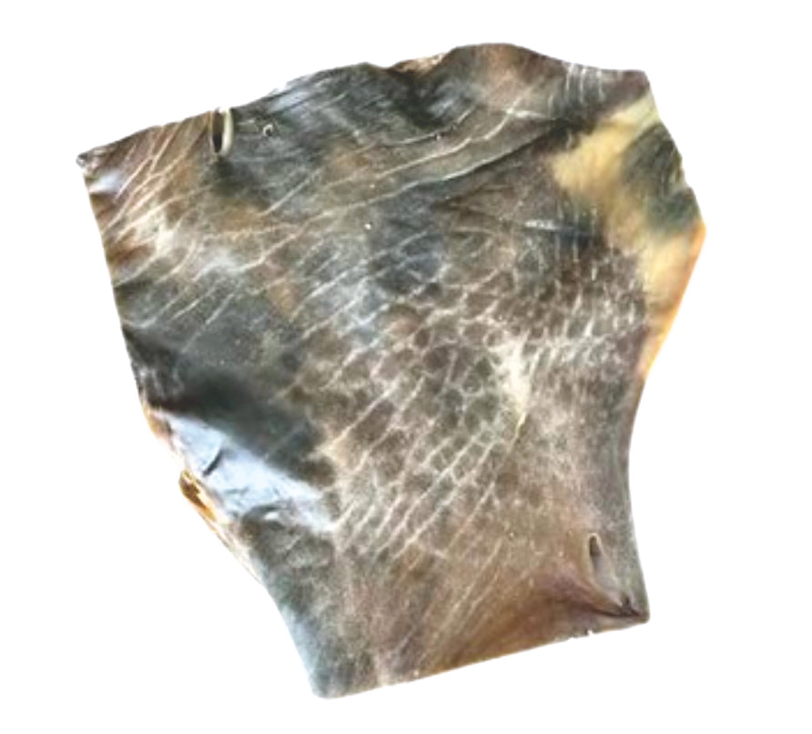 Kamelhautplatte 1 Stück